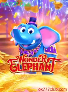Explorando o Fascinante Mundo de WonderElephant